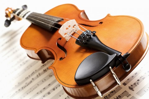 A EAEM realizará a vindeira semana unhas probas para cubrir dúas prazas de viola A EAEM realizará a vindeira semana unhas probas para cubrir dúas prazas de viola